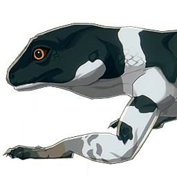 Silver-Banded Lizard image