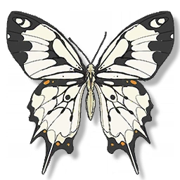 Phoenix Butterfly image