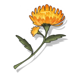 Sunflare Everlasting image