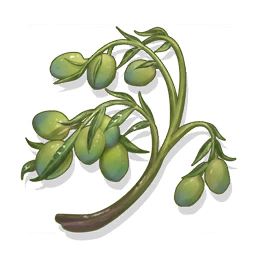 Felicitous Olives image