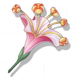 Firecracker Jewelweed image