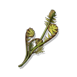 Fern Spore image