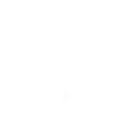 Summon a Chop Chop: Headless to attack enemies, dealing {0} Fusion DMG.
CD: {1}s.