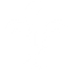 Summon a Chop Chop: Leftless to attack enemies, dealing {0} Spectro DMG.
CD: {1}s.