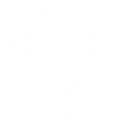 Summon a Chop Chop: Rightless to attack enemies, dealing {0} Havoc DMG.
CD: {1}s.