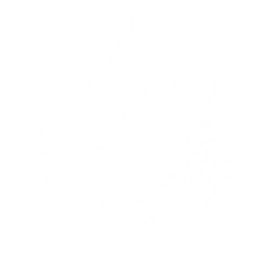 Summon a Fae Ignis to attack enemies, dealing {0} Havoc DMG.
CD: {1}s.