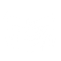 Summon a Chest Mimic to attack enemies with 3 consecutive strikes, each dealing {0} Spectro DMG.
CD: {1}s.