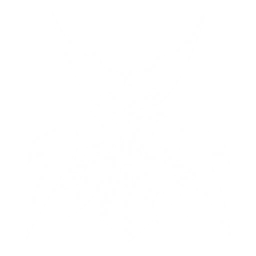 Transform into Diurnus Knight and charge forward to attack enemies with the sword, dealing {0} Spectro DMG. DMG dealt to enemies inflicted by Spectro Frazzle is increased by {1}.
CD: {2}s.