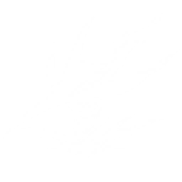 Transform into Abyssal Patricius and charge forward to attack enemies, dealing {0} Glacio DMG.
The Resonator with this Echo equipped in the main slot gains {1} Glacio DMG Bonus.
CD: {2}s.