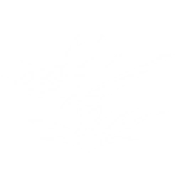 Transform into Abyssal Mercator and summon 3 Ice Spikes to attack enemies, each dealing {0} Glacio DMG.
CD: {1}s.