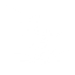 Transform into Abyssal Gladius and attack enemies in front of you with the sword, dealing {0} Glacio DMG.
Hold the Echo Skill to maintain the Echo form for a while to slash enemies and cast a ranged attack forward, dealing {1} and {2} Glacio DMG respectively.
CD: {3}s.