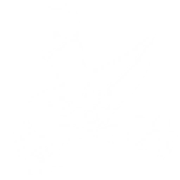 Summon a Chop Chop to perform a series of consecutive attacks. The first 6 strikes each deal {0} Fusion DMG and finishing strike deals {1} Fusion DMG.
CD: {2}s.