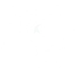 Summon Dragon of Dirge to generate a Grief Rift that lasts for 10s, regularly dealing {0} <color=#ffd12f>Fusion DMG</color> to enemies within the Grief Rift.
Dealing DMG to enemies with this Echo Skill grants a {1} Basic and Heavy Attack Bonus to all nearby Resonators in the team, triggered once every second, stacking up to {2} times.
CD: {3}s