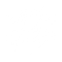 Strike enemies in front, dealing {0} Electro DMG, and summon Mech Waste to attack. Mech Waste deals {1} Electro DMG on hit and explodes after a while, dealing {2} Electro DMG.

After casting this Echo Skill, increase the current character's ATK by {3} for {4}s. 
Damage dealt by Mech Waste equals to the Resonator's Outro Skill DMG. 

CD: {5}s