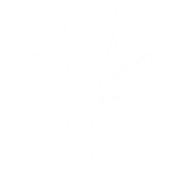 Summon a Cruisewing that restores HP for all current team characters by {0} of their Max HPs plus an additional {1} points of HP, up to 4 times.

CD: {2}s