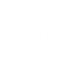 Summon a Baby Roseshroom that fires a laser, dealing {0} Havoc DMG.

CD: {1}s