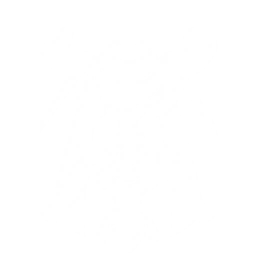 Transform into a Twin Nova: Nebulous Cannon to slash enemies twice, with each attack dealing {0} Spectro DMG.
The Resonator with this Echo equipped in the main slot gains {6} Spectro DMG Bonus and {7} Basic Attack DMG Bonus.
CD: {11}s.
If Twin Nova: Collapsar Blade is equipped in another slot on the Resonator:
- Casting Echo Skill in succession transforms you into Nebulous Cannon and Collapsar Blade alternately and is considered casting Echo skills of the same name. The DMG Bonus from the Echo in the main slot remains unchanged.
- DMG dealt by Twin Nova: Collapsar Blade becomes Spectro DMG.
- Casting Basic Attacks grants <SapTag=1>{1}</SapTag> {Cus:Sap,S=stack P=stacks SapTag=1} of Dyad Origins. Casting Resonance Skill grants <SapTag=2>{2}</SapTag> {Cus:Sap,S=stack P=stacks SapTag=2} of Dyad Origins. Dyad Origins can stack up to {3} times and lasts for {4}s. Each stack increases Echo Skill DMG by {5}, and all stacks are cleared after this Echo Skill ends.
-This skill is capped at {10} uses. Initially, this skill can be used {8} times, with 1 use added every {9}s.