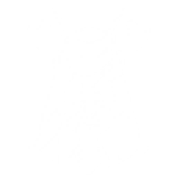 Transform into a Twin Nova: Collapsar Blade to rapidly fire at enemies for 5s, with each attack dealing {0} Electro DMG.

The Resonator with this Echo equipped in the main slot gains {6} Electro DMG Bonus and {7} Basic Attack DMG Bonus.

CD: {11}s.

If Twin Nova: Nebulous Cannon is equipped in another slot on the Resonator:
- Casting Echo Skill in succession transforms you into Collapsar Blade and Nebulous Cannon alternately and is considered casting Echo skills of the same name.
- DMG dealt by Twin Nova: Collapsar Blade becomes Spectro DMG. The Electro DMG Bonus gained from equipping it in the main slot is turned into Spectro DMG Bonus.
- Casting Basic Attacks grants <SapTag=1>{1}</SapTag> {Cus:Sap,S=stack P=stacks SapTag=1} of Dyad Origins. Casting Resonance Skill grants <SapTag=2>{2}</SapTag> {Cus:Sap,S=stack P=stacks SapTag=2} of Dyad Origins. Dyad Origins can stack up to {3} times and lasts for {4}s. Each stack increases Echo Skill DMG by {5}, and all stacks are cleared after this Echo Skill ends.
- This skill is capped at {10} uses. Initially, this skill can be used {8} times, with 1 use added every {9}s.