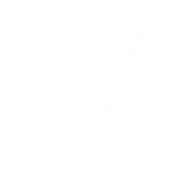 Summon a Flora Reindeer to attack enemies within a large range, dealing {0} Aero DMG.

CD: {1}s.