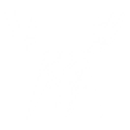 Summon a Mining Reindeer to launch a charged attack at enemies, dealing {0} Electro DMG.

 CD: {1}s.