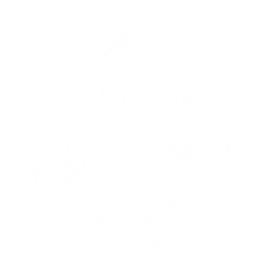 Summon a Sabercat Reaver to attack enemies, dealing {0} Fusion DMG.

CD: {1}s.