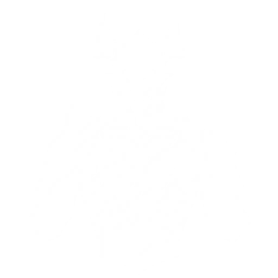 Transform into a Windlash Coleoid to kick enemies, dealing {0} Aero DMG.

CD: {1}s.