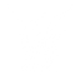 Transform into a Kronablight, soar into the air, and dive to deal {0} Electro DMG to the enemies.
CD: {1}s