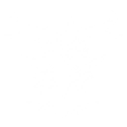 Transform into a Kronaclaw and soar into the air to deal {0} Aero DMG up to 8 times and {1} Aero DMG 2 times, then dive to deal {2} Aero DMG 1 time.
CD: {3}s