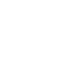 Summon a Glommoth to stomp enemies, dealing {0} Glacio DMG.
Casting Outro Skill within {1}s after summoning Glommoth grants {2} Glacio DMG Bonus to the incoming Resonator for {3}s.
CD: {4}s.