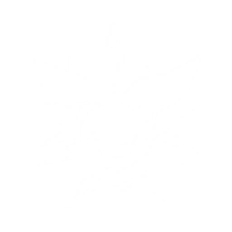 Summon a Lava Larva that continuously attacks enemies, dealing {0} Fusion DMG with each hit. The Lava Larva disappears when the summoner is switched out or moves too far away.

CD: {1}s