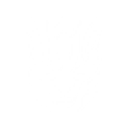 Lunge forward as a Lightcrusher, dealing {0} Spectro DMG. Generate {1} Ablucence on hit. Each Ablucence explosion deals {2} Spectro DMG.
Hold the Echo Skill to stay in the Lightcrusher form, which allows you to leap up and pounce forward in the air for a short distance.

Cooldown: {3}s