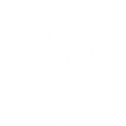 Transform into Nightmare: Kelpie to attack nearby targets, dealing {0} Glacio DMG.
The Resonator with this Echo equipped in the main slot gains {2} Glacio DMG Bonus and {3} Aero DMG Bonus. Switching out the Resonator with Outro Skill summons Nightmare: Kelpie to deal {1} Aero DMG.
CD: {4}s