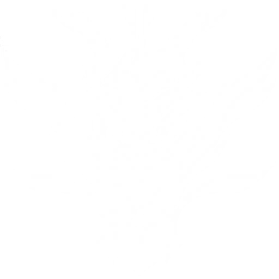 Summon a Tidestorm to deal {0} Aero DMG ten times and {1} Aero DMG one time to enemies.
The Resonator with this Echo equipped in the main slot gains {2} Aero DMG Bonus and {3} Resonance Liberation DMG Bonus.
CD: {4}s