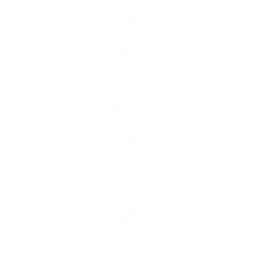 Summon a Collapsing Horizon, dealing two instances of {0} Havoc DMG to the nearby enemies and obtaining the Core of Collapse for {1}s.

While it lasts, Core of Collapse deals {2} Havoc DMG when the active Resonator in the team deals damage. This effect can be triggered once every {4}s, up to <SapTag=3>{3}</SapTag> {Cus:Sap,S=time P=times SapTag=3}. Enemies with Havoc Bane take {5} more DMG from this effect.

The Resonator with this Echo equipped in the main slot gains {6} Havoc DMG Bonus and {7} Resonance Liberation DMG Bonus.

CD: {8}s