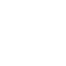 Summon Hyvatia to fire lasers at enemies from mid-air, dealing {0} Spectro DMG 10 times.

Casting Outro Skill within {1}s after summoning Hyvatia grants {2} All-Attribute DMG Bonus to the next Resonator using Intro Skill for {3}s.

CD: {4}s.