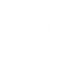 Transform into a Reactor Husk, jumping into the air and unleashing a heavy slash that deals {0} Fusion DMG to enemies.
 
The Resonator with this Echo equipped in their main slot gain {1} Energy Regen.
 
 CD: {4}s.