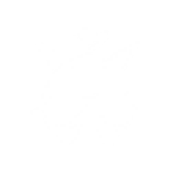 Summon a Chirpuff that self-inflates and blasts a powerful gust of wind forward {0} times. Each blast inflicts {1} Aero DMG and pushes enemies backwards.

CD: {2}s