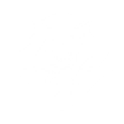 Transform into Hoochief and smack the enemies, dealing {0} Aero DMG.

CD: {1}s