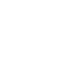 Summon a Dwarf Cassowary that tracks and attacks the enemy, dealing {1} Physical DMG {0} time(s).

Cooldown: {2}s