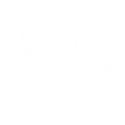 Transform into Mourning Aix and perform 2 consecutive claw attacks, each attack dealing {0} and {1} Spectro DMG respectively.

After the transformation, increase current character's Spectro DMG by {2} and Resonance Liberation DMG by {3} for {4}s

CD: {5}s