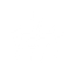 Transform into Tempest Mephis to deal {0} Electro DMG and <color=#ffd12f>reduce the targets' Vibration Strength by {1}</color>. If the target is Immobilized from this attack, increase the DMG it takes by {2} and reduce all Resonators' Resonance Skill Cooldown by {3} for {4}s. Cooldown: {5}s.