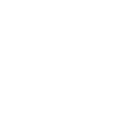 Summon a Zig Zag that generates an <color=#ffd12f>invincible field</color>. All party members within this field are immune to all incoming DMG for {0}s. Resonators affected also gain additional {1} Crit. Rate and {2} Crit. DMG. Cooldown: {3}s.