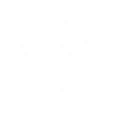 Summon an Electro Predator to shoot the enemy 5 times. The first 4 shots deals {0} Electro DMG, and the last deals {1} Electro DMG.

CD: {2}s