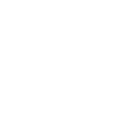 Summon a Dwarf Cassowary that tracks and attacks the enemy, dealing {1} Physical DMG {0} time(s).

Cooldown: {2}s