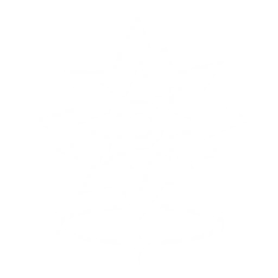 Summon a Spectro Prism to emit a laser that hits the enemy up to {0} times, dealing {1} Spectro DMG each time.

CD: {2}s