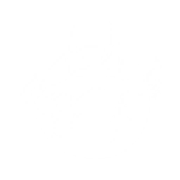 Summon a Dwarf Cassowary that tracks and attacks the enemy, dealing {1} Physical DMG {0} time(s).

Cooldown: {2}s