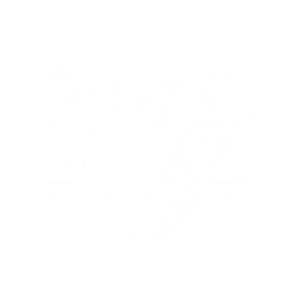 Summon an Aero Drake to attack enemies, dealing {0} Aero DMG.
CD: {1}s.