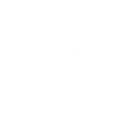 Summon an Electro Drake to attack enemies, dealing {0} Electro DMG 3 times.
CD: {1}s.